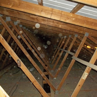 TrilliumJohnstown-12.41